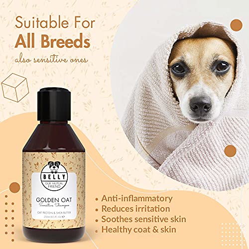 Belly Champu Perros Piel Sensible con Avena - Champu para Perros, Calma el Picor y la Irritación - Champú Perros Cachorros y Adultos - Champu Perros Dermatitis - Champu Hipoalergenico Perros, 250 ml