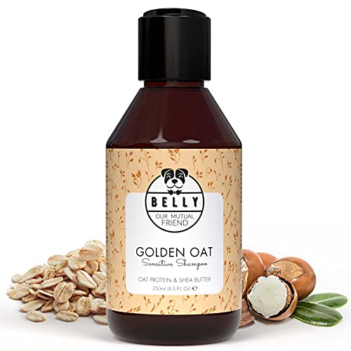 Belly Champu Perros Piel Sensible con Avena - Champu para Perros, Calma el Picor y la Irritación - Champú Perros Cachorros y Adultos - Champu Perros Dermatitis - Champu Hipoalergenico Perros, 250 ml