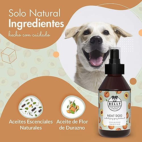 Belly Colonia para Perros, Aroma Melocotón - Spray Colonia Perros Cachorros y Adultos - Perfume Perro Fresco e Hidratante - Spray Desodorante Perro, Efecto Duradero - Colonia Mascotas Vegana, 250 ml