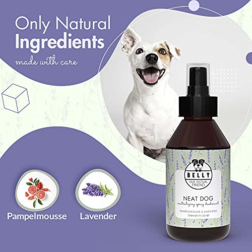 BELLY Colonia para Perros, Esencia Lavanda y Pomelo - Colonia Perros Cachorros y Adultos - Perfume Perro, Refrescante e Hidratante - Desodorante Perro, Aroma Duradero - Colonia Mascotas Vegana, 250ml