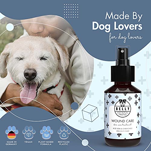 Belly Desinfectante Orgánico en Spray para el Cuidado de Las Heridas en los Perros - Cicatrizante Perros - Desinfectante para Perros - Alternativa a la Clorhexidina y los Antibióticos - 100 ml