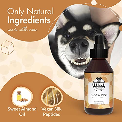 Belly Spray Acondicionador Perro con Aceite Almendras Dulces - Acción Hidratante y Desenredante Pelo Perros - Suavizante Perro, Efecto No Graso - Acondicionador para Perros Pelo Largo y Corto, 250ml