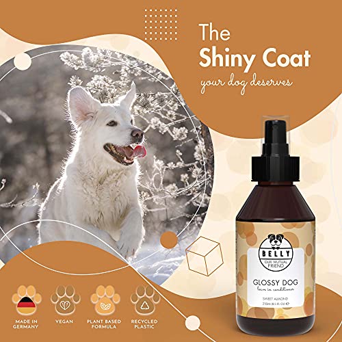 Belly Spray Acondicionador Perro con Aceite Almendras Dulces - Acción Hidratante y Desenredante Pelo Perros - Suavizante Perro, Efecto No Graso - Acondicionador para Perros Pelo Largo y Corto, 250ml