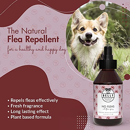 Belly Spray Antipulgas Perros - Spray Antiparasitario Perros Orgánico - Repelente Natural Anti Pulgas Perros - Alternativa Eco a Collar Antiparasitos Perro, Pipetas Perros e Insecticida Pulgas, 250ml