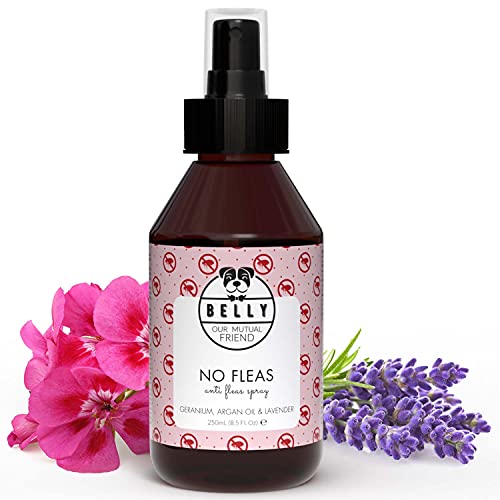 Belly Spray Antipulgas Perros - Spray Antiparasitario Perros Orgánico - Repelente Natural Anti Pulgas Perros - Alternativa Eco a Collar Antiparasitos Perro, Pipetas Perros e Insecticida Pulgas, 250ml