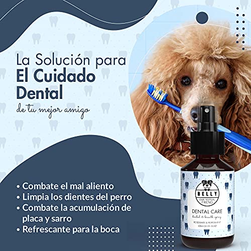 Belly Spray Dental Perros con Aceite de Menta y Romero - Enjuague Bucal Perros para Mal Aliento de Perros - Eficaz Spray Anti Sarro Perros - Práctica Alternativa a Pasta de Dientes para Perros, 100ml