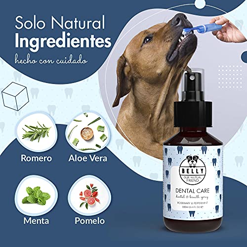 Belly Spray Dental Perros con Aceite de Menta y Romero - Enjuague Bucal Perros para Mal Aliento de Perros - Eficaz Spray Anti Sarro Perros - Práctica Alternativa a Pasta de Dientes para Perros, 100ml