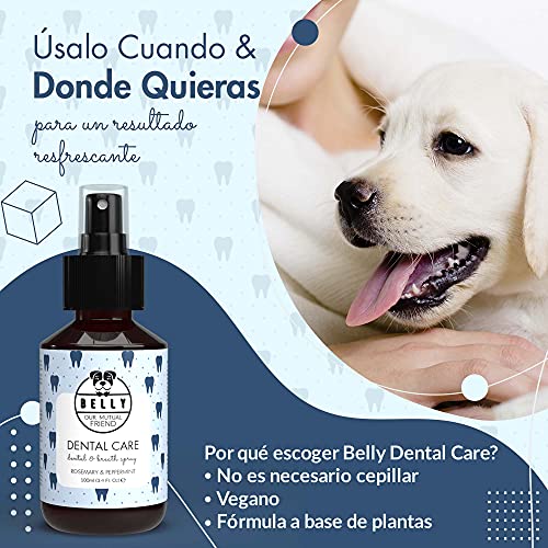 Belly Spray Dental Perros con Aceite de Menta y Romero - Enjuague Bucal Perros para Mal Aliento de Perros - Eficaz Spray Anti Sarro Perros - Práctica Alternativa a Pasta de Dientes para Perros, 100ml