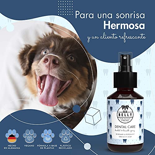 Belly Spray Dental Perros con Aceite de Menta y Romero - Enjuague Bucal Perros para Mal Aliento de Perros - Eficaz Spray Anti Sarro Perros - Práctica Alternativa a Pasta de Dientes para Perros, 100ml