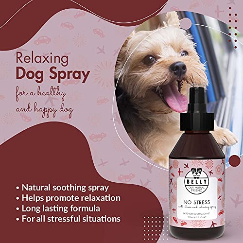 BELLY Spray Tranquilizante para Perros - Spray Relajante Perros, Ideal para Viajes - Spray Tranquilizante Perro, Ayuda a Reducir Estrés - Alternativa Natural a Pastillas y Feromonas para Perros, 250ml