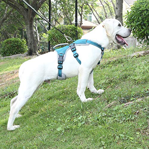 BELPRO Arnés de Apoyo Multiusos para Perro, a Prueba de Escape, Chaleco Reflectante Ajustable con Mango Duradero, arnés para Perros Grandes y Activos (Azul, S)