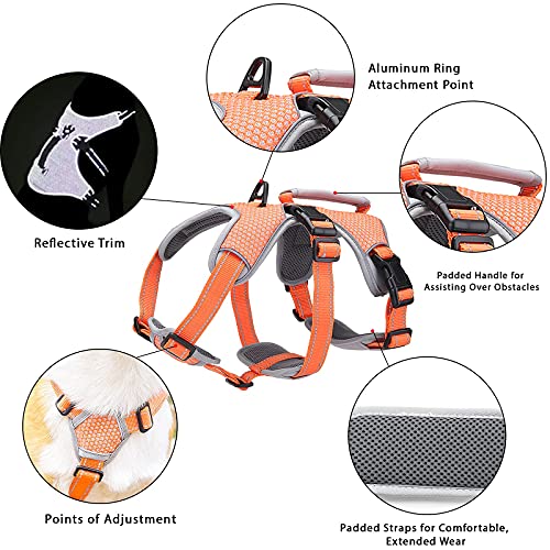 Belpro - Arnés de Apoyo Multiusos para Perro, antifuga, sin tirón, Reflectante, Ajustable, con Mango Duradero, arnés para Perros Grandes y Activos (Naranja, XL)