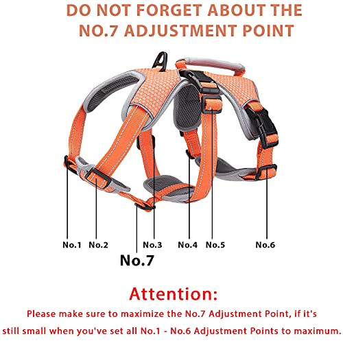 Belpro - Arnés de Apoyo Multiusos para Perro, antifuga, sin tirón, Reflectante, Ajustable, con Mango Duradero, arnés para Perros Grandes y Activos (Naranja,L)