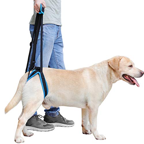 BePetMia Arnés De Soporte para Perros, Arnés De Patas Traseras, Ayuda A Levantar Las Patas Traseras, Soporte para Ancianos, Heridos, Enfermos Y Discapacitados (L)