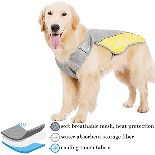 BePetMia Chaleco de arnés de enfriamiento para Perros, Chaleco de enfriamiento Chaqueta para Perros al Aire Libre, Chaleco Transpirable Chaqueta de enfriamiento Protección Solar (M)