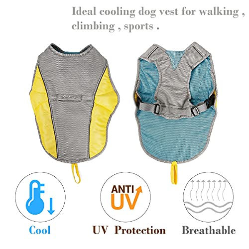 BePetMia Chaleco de arnés de enfriamiento para Perros, Chaleco de enfriamiento Chaqueta para Perros al Aire Libre, Chaleco Transpirable Chaqueta de enfriamiento Protección Solar (M)