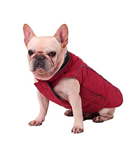 BePetMia Chaqueta de Invierno para Perros, Abrigo con 7 Tallas para Perros pequeños, medianos y Grandes, Traje de Nieve a Prueba de Viento, Ropa para Perros de línea Reflectante (S, Rojo)