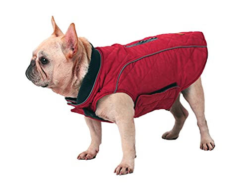 BePetMia Chaqueta de Invierno para Perros, Abrigo con 7 Tallas para Perros pequeños, medianos y Grandes, Traje de Nieve a Prueba de Viento, Ropa para Perros de línea Reflectante (S, Rojo)