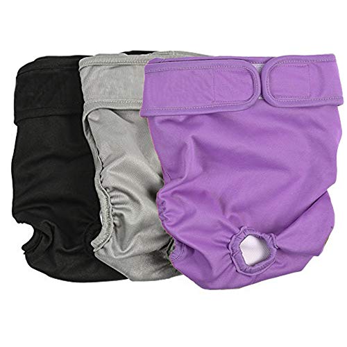 BePetMia Pañales Lavables para Perras, Calzoncillos Higiénicos para Perras en Celo, 5 Tallas de XS a XL, Apto para Todas Las Perras con Incontinencia (M: 40-55cm, 3-Packs)