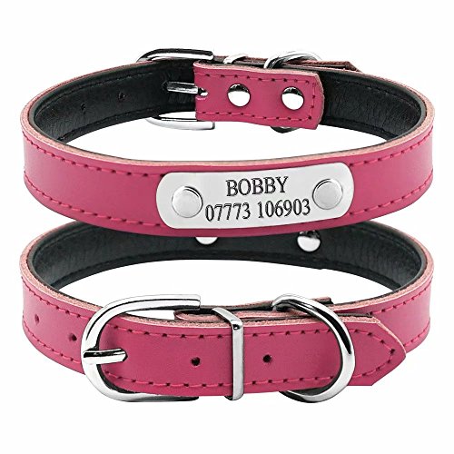 BERRY - Collar para Perro o Gato Acolchado de Piel sintética Suave, Color Azul/Rojo/Negro/Rosa, XS/S/M