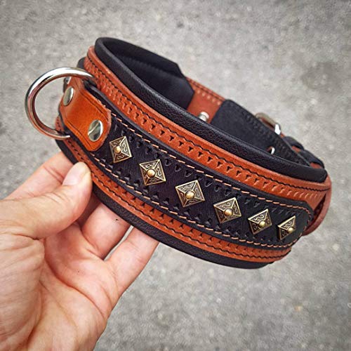 Bestia '' Balteus '' Collar de Perro con Tachuelas de Cuero