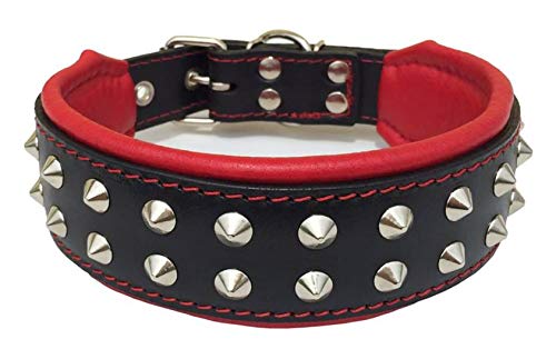 Bestia "Boston Collar de Perro de Cuero Genuino. Tachonado y Acolchado Suave en el Interior.