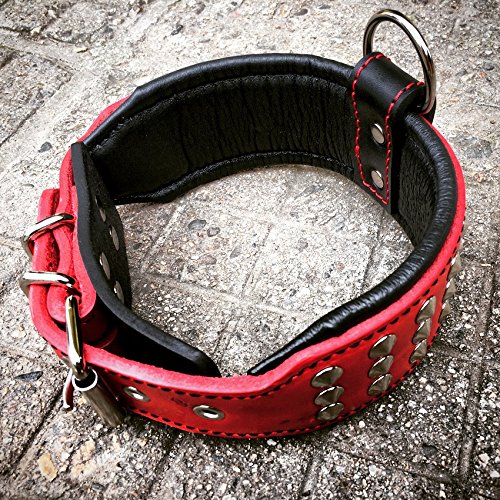 Bestia '' Star '' Collar de Perro de Cuero Genuino con Tachuelas