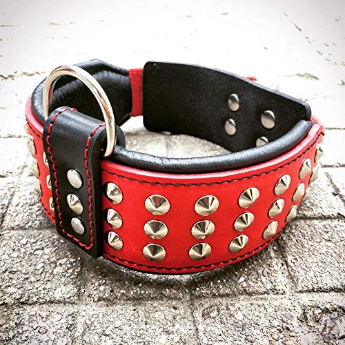 Bestia '' Star '' Collar de Perro de Cuero Genuino con Tachuelas