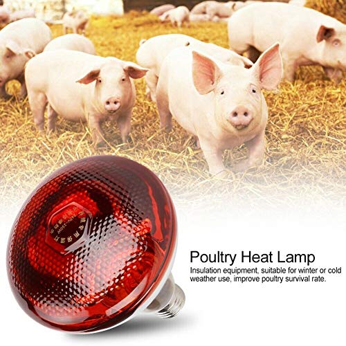 BestSiller Lámpara de calor infrarrojo de 250 W, resistente al agua, luz antiexplosión, bombillas de calentamiento rojo engrosadas para lechón pollo pato aves