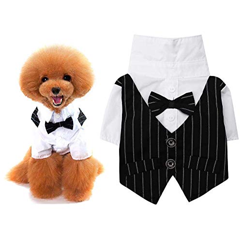 Bicaquu Traje de Negocios Elegante Elegante del Perro de la Boda, Ropa del Perro, Traje de Fiesta para Teddy para Perro(M)