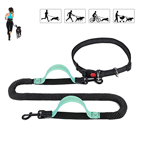 BIGLUFU Correas para Perros Manos Libres para Correr, Caminar, Senderismo, Manos Libres retráctiles para Perros Leash Bungees Dobles Reflectantes (Negro)