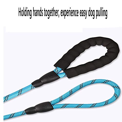 Biluer Arnés y Plomo para Perro, 2PCS Arnés para Perro Arnés de Coche para Perro Arnés Cachorro Arnés de Chaleco para Mascotas para Perros Es Ideal para Caminar A Diario Trotar Entrenar Cazar