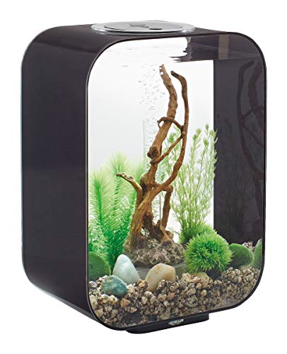 biOrb LIFE 15 LED Acuario en color negro