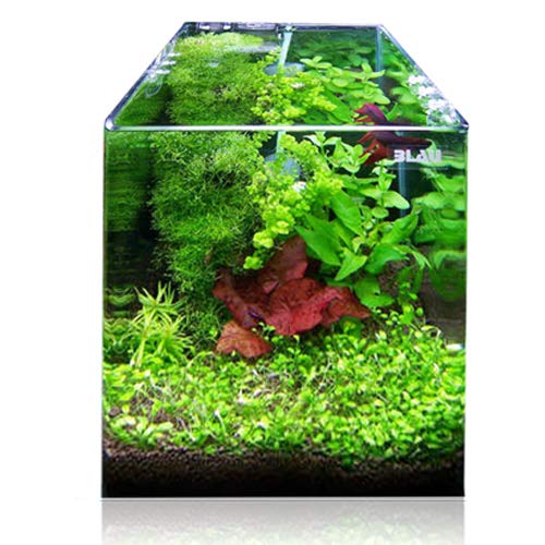 Blau Aquaristic Cubic Panoramic - Acuario de cristal doblado y pulido, 32 l, 7450 g, 30 x 30 x 35 cm