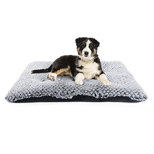 BLEVET Cojín del Animal Doméstico de La Felpa del Cortocircuito de La Cama del Gato del Perro, Colchón Suave para Dormir Disponible en Todas Las Estaciones MZ136 (M, Grey)