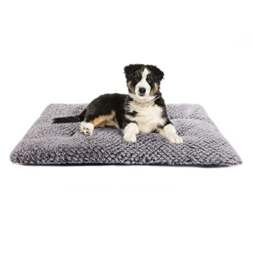 BLEVET Cojín del Animal Doméstico de La Felpa del Cortocircuito de La Cama del Gato del Perro, Colchón Suave para Dormir Disponible en Todas Las Estaciones MZ136 (L, Brown)