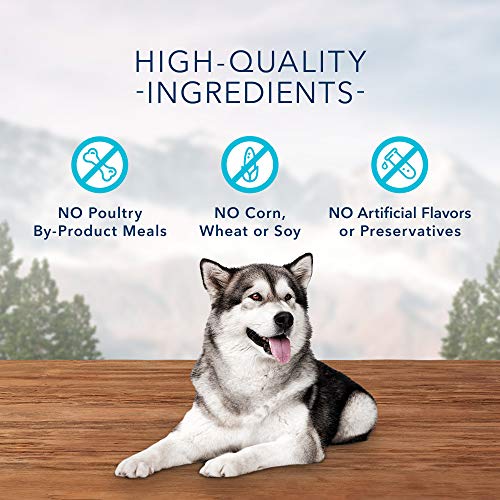 Blue Buffalo Wilderness Trail Treats - Galletas para Perros crujientes sin Granos de Alta proteína, Receta de Pavo Bolsa de 24 onzas