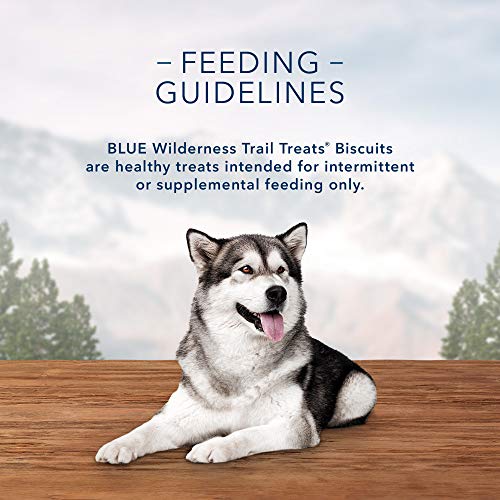 Blue Buffalo Wilderness Trail Treats - Galletas para Perros crujientes sin Granos de Alta proteína, Receta de Pavo Bolsa de 24 onzas