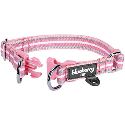 Blueberry Pet 3M Reflective Multi-Colored Stripe Pink and White Dog Collar, Small, Neck 30cm-40cm, Adjustable Collars for Dogs