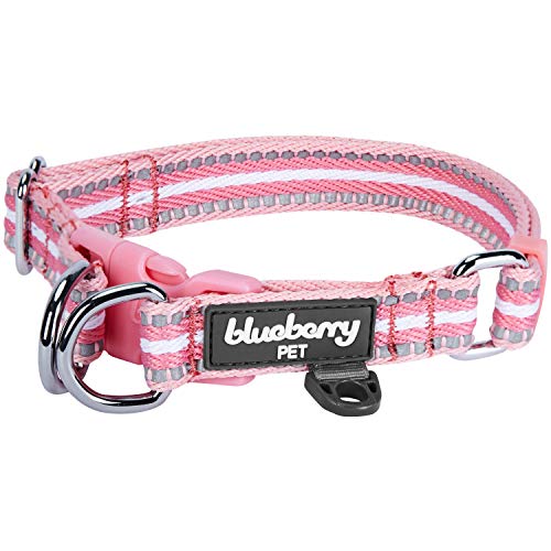 Blueberry Pet 3M Reflective Multi-Colored Stripe Pink and White Dog Collar, Small, Neck 30cm-40cm, Adjustable Collars for Dogs