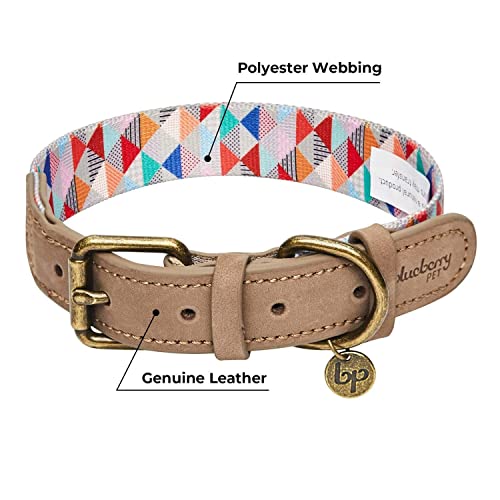 Blueberry Pet Shades of Rainbow Multicolor Triangles Polyester Fabric Webbing and Soft Genuine Leather Dog Collar, Medium, Neck 38cm-46cm, Adjustable Collars for Dogs