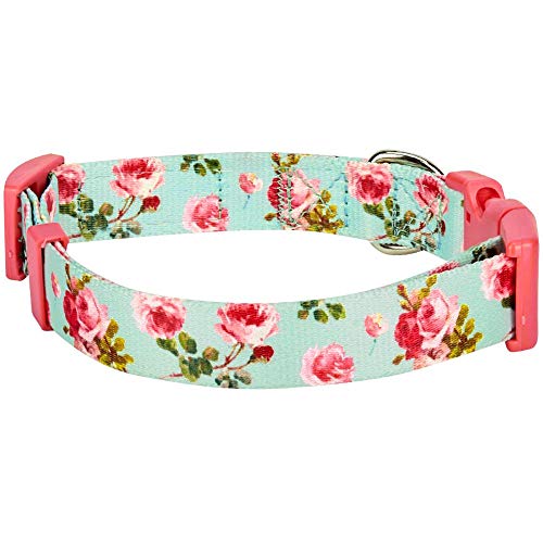 Blueberry Pet Spring Scent Inspired Floral Rose Print Turquoise Dog Collar, Large, Neck 45cm-66cm, Adjustable Collars for Dogs