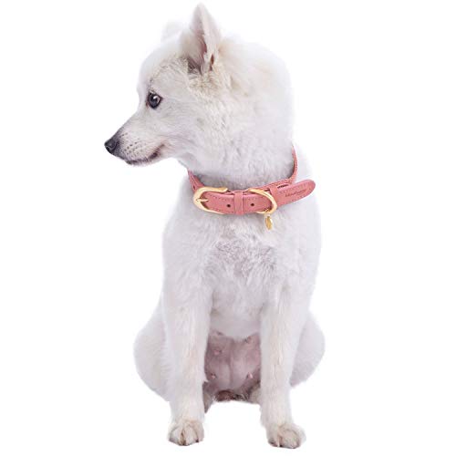 Blueberry Pet Vintage Chic Two Tone Genuine Leather Dog Collar in Pink and Grey, Medium, Neck 38cm-46cm, Adjustable Collars for Dogs