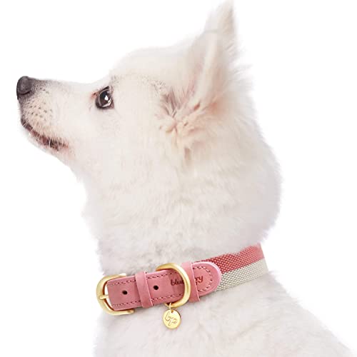 Blueberry Pet Vintage Chic Two Tone Genuine Leather Dog Collar in Pink and Grey, Small, Neck 30.5cm-38cm, Adjustable Collars for Dogs