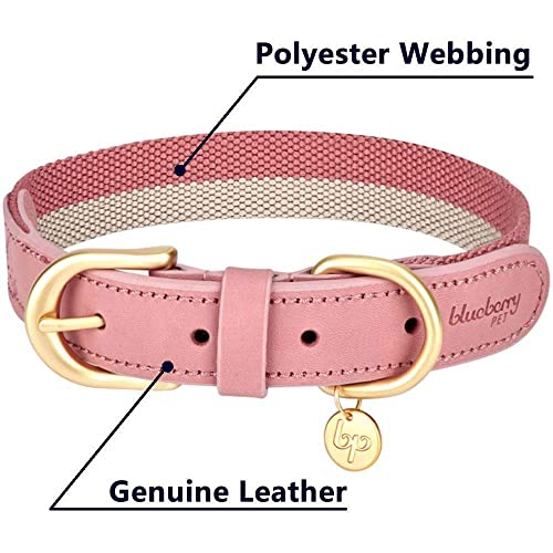 Blueberry Pet Vintage Chic Two Tone Genuine Leather Dog Collar in Pink and Grey, Small, Neck 30.5cm-38cm, Adjustable Collars for Dogs