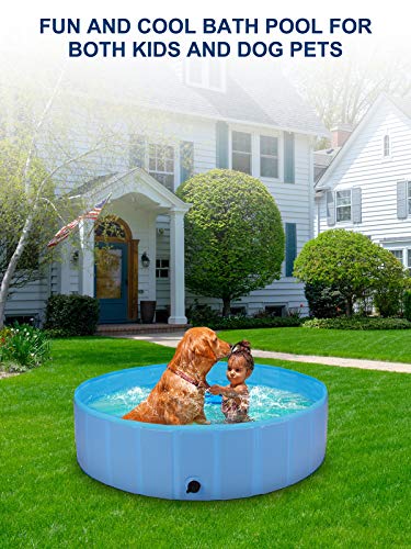 BlueFire Piscina para perros de 120 x 30 cm, plegable, fácil de montar, PVC antideslizante, para perros pequeños, mascotas y niños