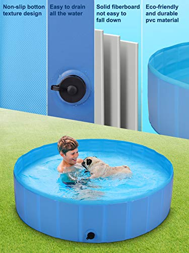 BlueFire Piscina para perros de 120 x 30 cm, plegable, fácil de montar, PVC antideslizante, para perros pequeños, mascotas y niños