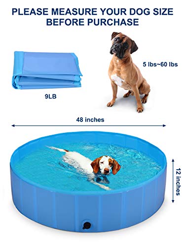 BlueFire Piscina para perros de 120 x 30 cm, plegable, fácil de montar, PVC antideslizante, para perros pequeños, mascotas y niños