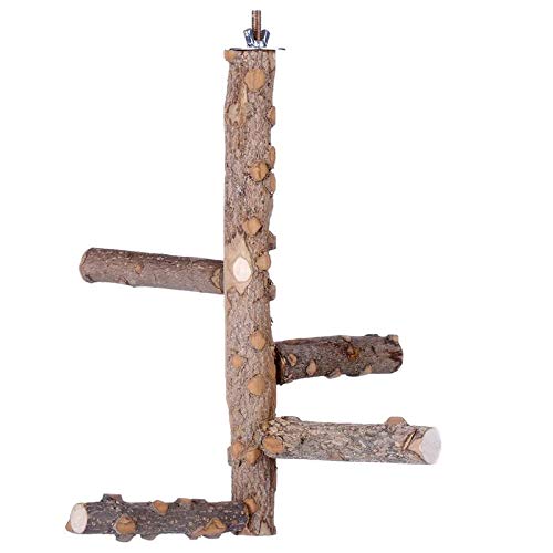 Bnwoinb Juego de Perca de PáJaro de Madera Natural, Soporte de Loro Perchas de Madera Plataforma de Soporte de Palo de Molienda Juguete Masticable para Pinzones, Canarios