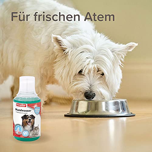 Boca Agua para Perros y Gatos, Agua Potable Adicional contra halitosis en Perros & Gatos | fertiliza Plaque | Previene Dientes Piedra Antes | con mentol | 250 ml